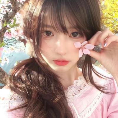 初入职场·机长季