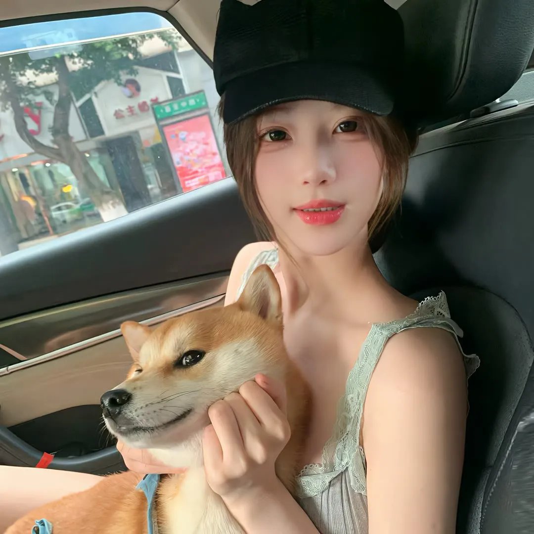 狐狸女士第二季